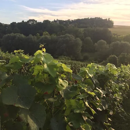 Le Clos De La Tourelle