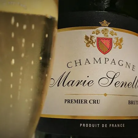 Le Clos De La Tourelle * Arcis-le-Ponsart