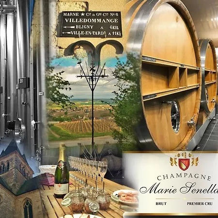 Le Clos De La Tourelle * Arcis-le-Ponsart